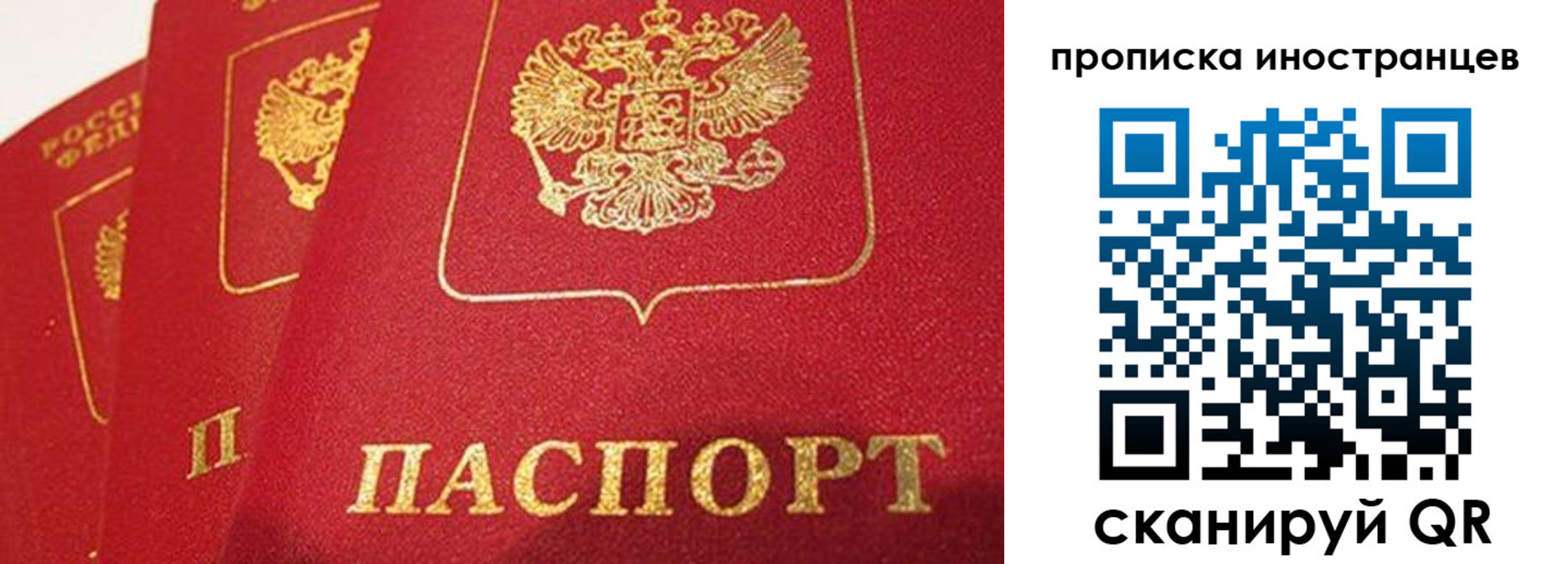 прописка поиск в Осе